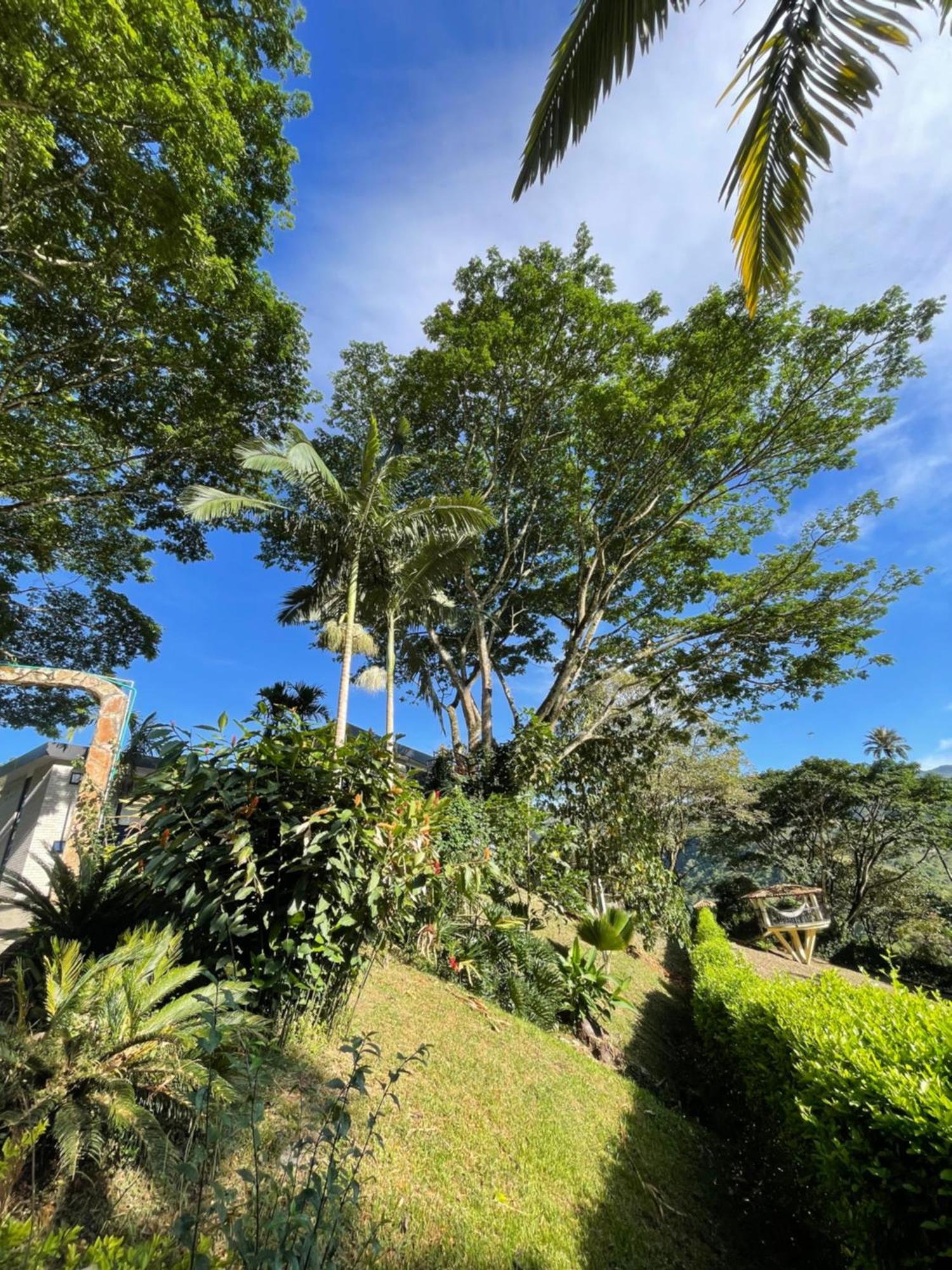 Home Boutique Natural Paradise La Vega  Exterior foto